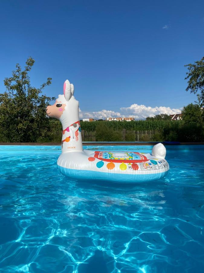 Magnifique Villa Piscine Dans Un Ecrin De Verdure Экболшем Экстерьер фото